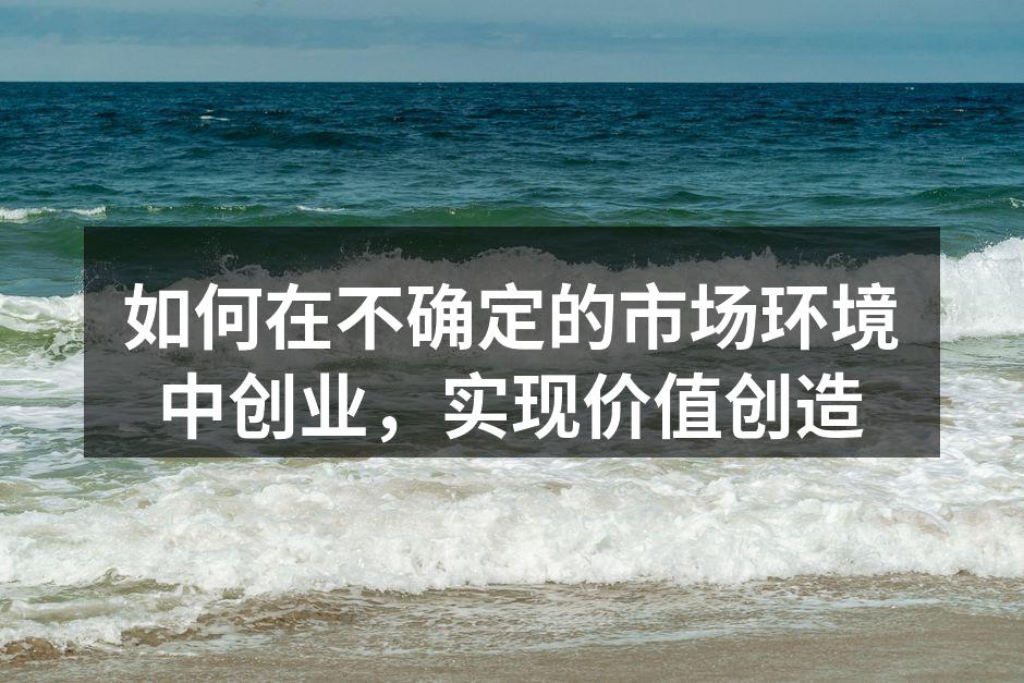 如何在不确定的市场环境中创业，实现价值创造